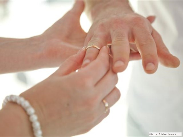 album_IMG_8310_640x427