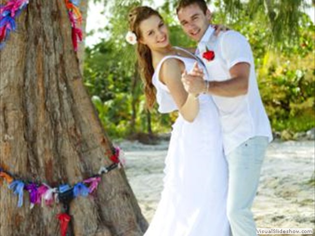 album_IMG_8886_339x480