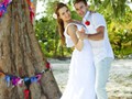 album_IMG_8886_339x480